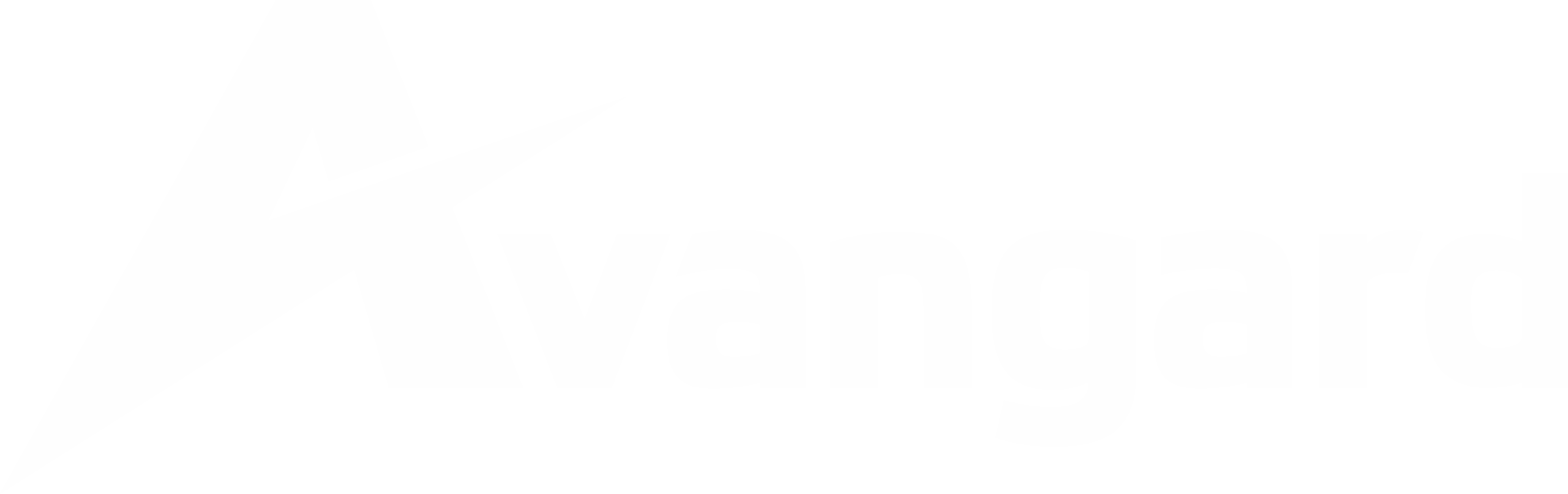 Строительная компания «Авангард Стиль» logo